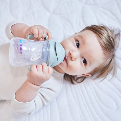 Vaso Sippy - B.Box - Blueberry